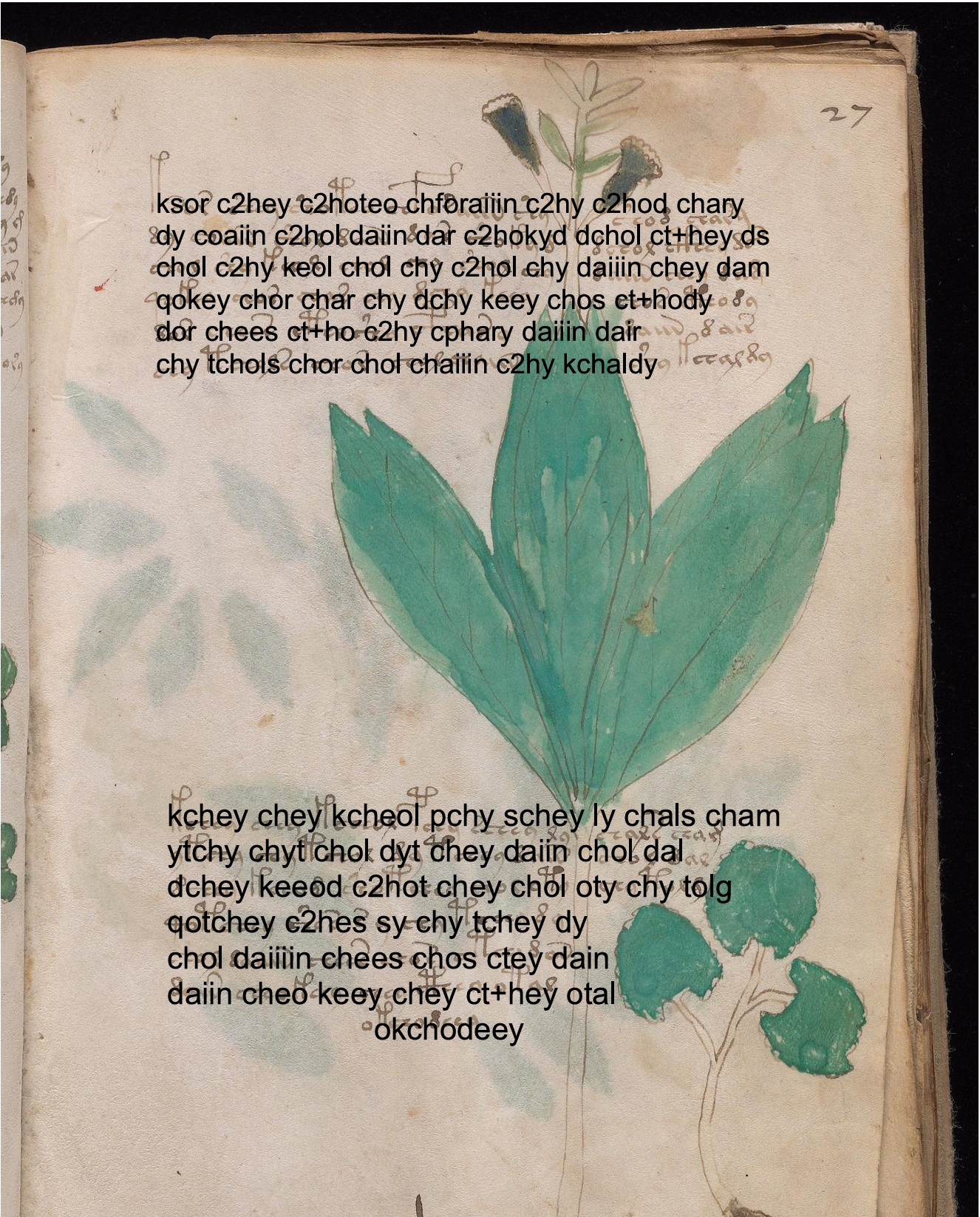 Folio 27r glyph overlay on parchment